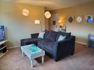 Akron Ohio AirBnB Vintage Chic One Bedroom